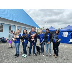 Mais de mil cães e gatos castrados em ação gratuita realizada em três bairros de Campo Largo